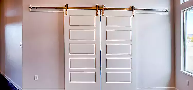 Glass Barn Door with Installation Hardware Kit Northampton